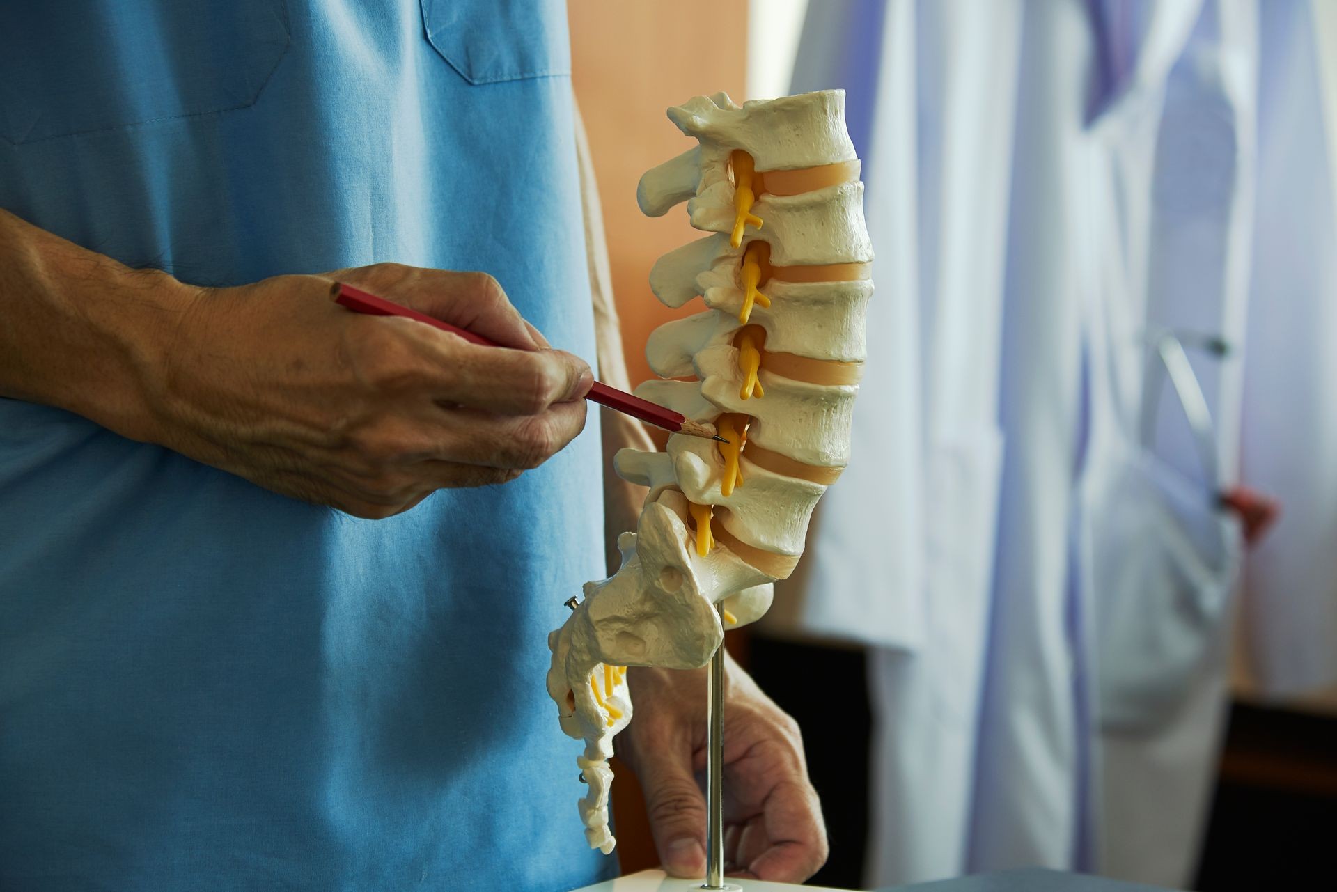 A neurosurgeon using pencil pointing at lumbar vertebra model in medical office 